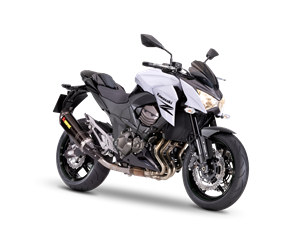 Z800e Performance (SPAIN only) 2013